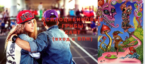 индика Абинск