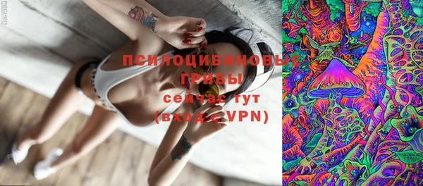 прущие грибы Михайлов