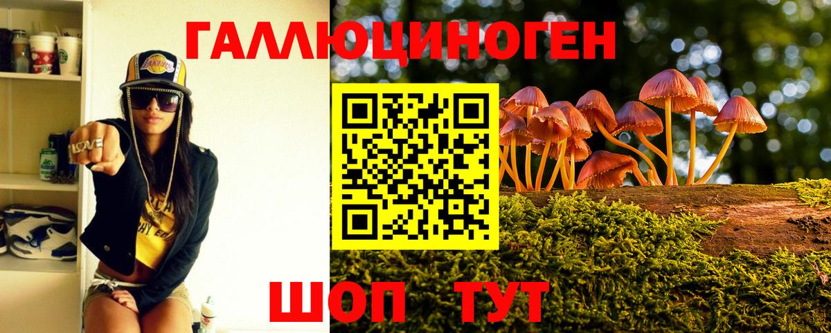 Галлюциногенные грибы MAGIC MUSHROOMS  Псилоцибиновые грибы ЛСД  продажа наркотиков  Вход с VPN  Якутск 